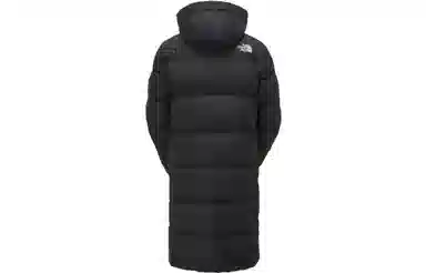 THE NORTH FACE FW23 Logo