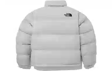 The North Face Nuptse FW23 Light Grey