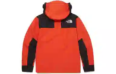 THE NORTH FACE Novelty Gtx Mountain Jacket