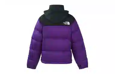 THE NORTH FACE 1996 Nuptse 700