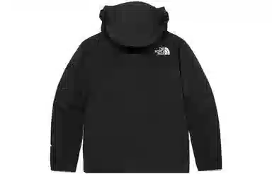 The North Face Novelty GTX Mountain Jacket