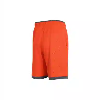Jordan Sport Dna Orange Shorts