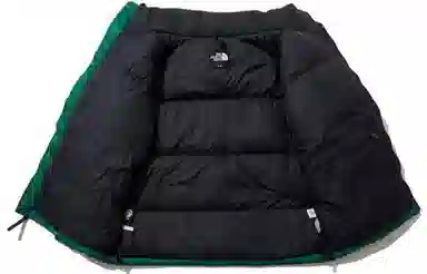 The North Face 1996 Nuptse Jacket