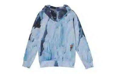 Supreme x The North Face Ice Climb Hooded Sweatshirt