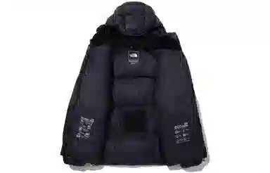 THE NORTH FACE FW23 Eco BARUNTSE DOWN Logo