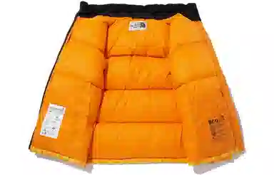 THE NORTH FACE Logo