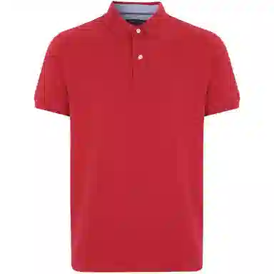 Tommy Hilfiger Polo Shirt