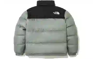 The North Face Novelty Nuptse Down Jacket