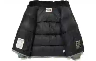 The North Face Novelty Nuptse Down Jacket