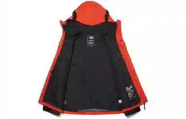 THE NORTH FACE Novelty Gtx Mountain Jacket