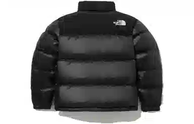 The North Face Novelty Nuptse Down Jacket