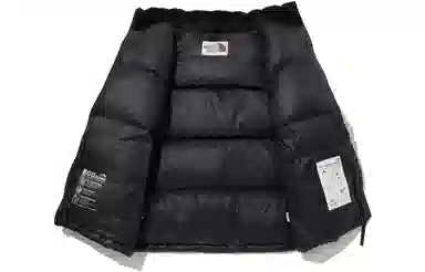 The North Face Novelty Nuptse Down Jacket