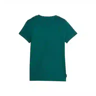 PUMA TEAM TEE T