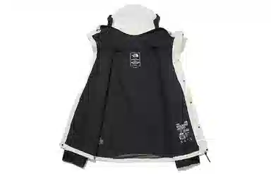 THE NORTH FACE Novelty Gtx Mountain Jacket