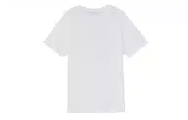 Dickies LogoT