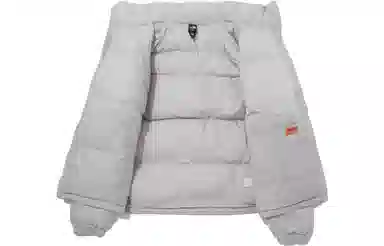The North Face Nuptse FW23 Light Grey