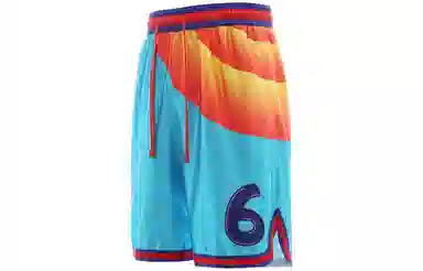 Nike x Space Jam LeBron "Tune Squad" Shorts