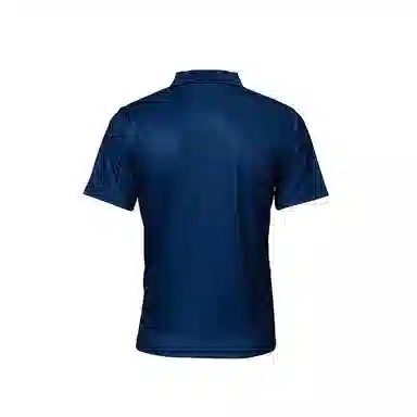 Kawasaki logoPolo