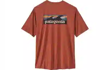 Patagonia Cap Cool-Waters