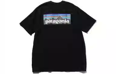 patagonia T