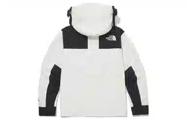 THE NORTH FACE Novelty Gtx Mountain Jacket