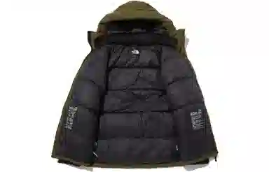 The North Face DryVent Green