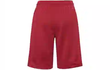 Air Jordan Rise Striped Triangle Logo