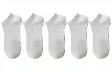 August FW23 5