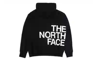 THE NORTH FACE Far Side Pullover