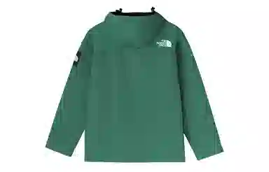 The North Face DryVent Jacket Green