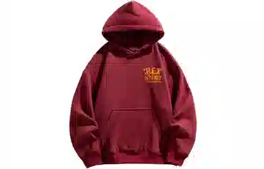 REXSHION Hoodie