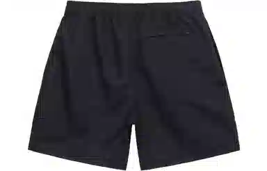 Stussy SS23 Logo CURLY S WATER SHORT