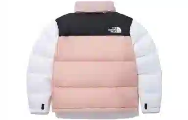 The North Face 1996 Eco Nuptse Jacket