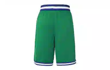 Nike NBA Dallas Mavericks Fan Shorts Green
