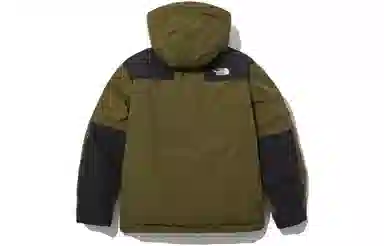 The North Face DryVent Green