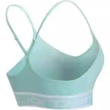 Jordan Jordan SportINDY Dri-FIT