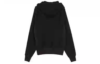 Champion Reverse Weave Hood