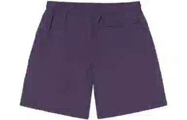 Stussy SS23 Logo CURLY S WATER SHORT