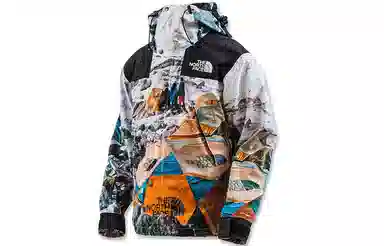 The North Face x Invincible Printed Mountain Jacket