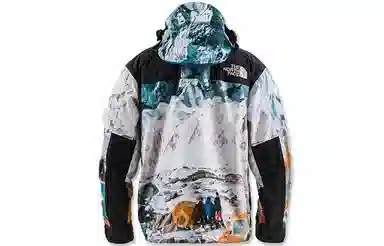 The North Face x Invincible Printed Mountain Jacket