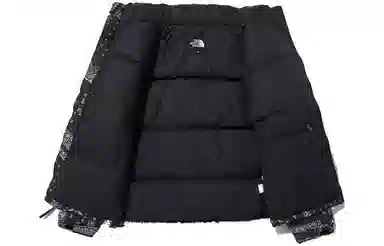 The North Face 1996 Nuptse