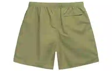 Stussy SS23 Logo CURLY S WATER SHORT