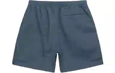 Stussy SS23 Logo CURLY S WATER SHORT