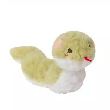 25cm