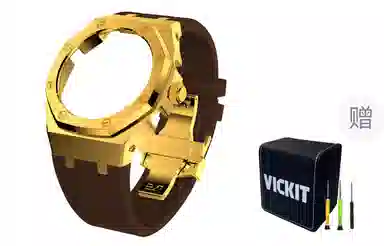 VickitCASIOAKGA2100 GAB2100 GA2110