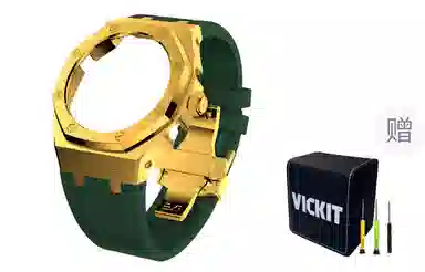 VickitCASIOAKGA2100 GAB2100 GA2110