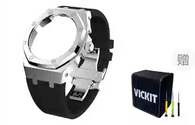 VickitCASIOAKGA2100 GAB2100 GA2110