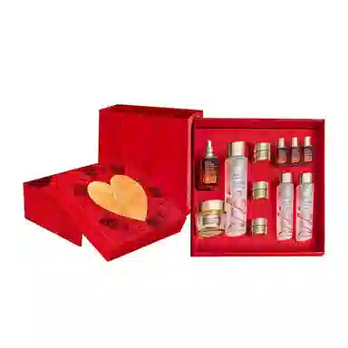 雅诗兰黛 镇店王牌定制礼盒