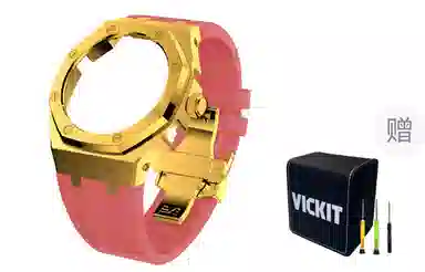 VickitCASIOAKGA2100 GAB2100 GA2110