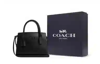 COACH ANDREA CARRYALL 22 Logo